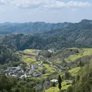 黄山旅游 缩略图 13