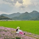 黄山旅游 缩略图 16