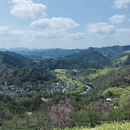 黄山旅游 缩略图 14