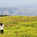 宁德旅游 缩略图 9