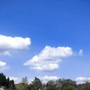 黄山旅游 缩略图 3