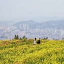 宁德旅游 缩略图 10