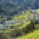 黄山旅游 缩略图 15