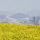 宁德旅游 缩略图 11