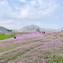 黄山旅游 缩略图 17