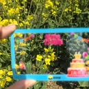 黄山旅游 缩略图 5
