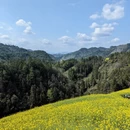 黄山旅游 缩略图 17