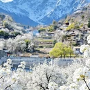 阿坝旅游 缩略图 1