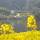 黄山旅游 缩略图 9