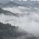 黄山旅游 缩略图 5