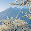 阿坝旅游 缩略图 3