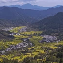 黄山旅游 缩略图 1