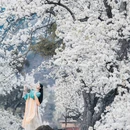 阿坝旅游 缩略图 5