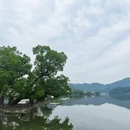 黄山旅游 缩略图 9