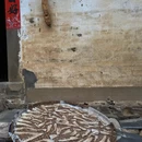 黄山旅游 缩略图 10