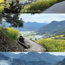 黄山旅游 缩略图 3