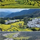 黄山旅游 缩略图 2