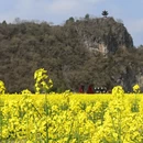 宣城旅游 缩略图 1