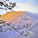 阿坝旅游 缩略图 8