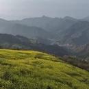 黄山旅游 缩略图 6