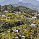 黄山旅游 缩略图 2