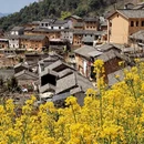 黄山旅游 缩略图 7