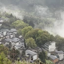 黄山旅游 缩略图 7