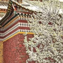 阿坝旅游 缩略图 4