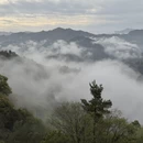 黄山旅游 缩略图 9