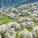 阿坝旅游 缩略图 5