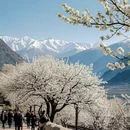 阿坝旅游 缩略图 6