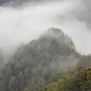 黄山旅游 缩略图 10