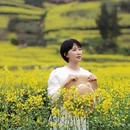 黄山旅游 缩略图 15