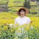 黄山旅游 缩略图 16