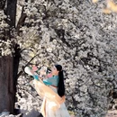 阿坝旅游 缩略图 3