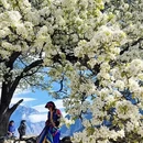 阿坝旅游 缩略图 2