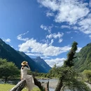 阿坝旅游 缩略图 10