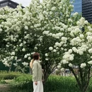 上海旅游 缩略图 2