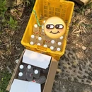 宁波旅游 缩略图 7