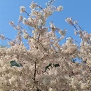 北京旅游 缩略图 3