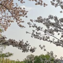 北京旅游 缩略图 9