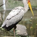广州旅游 缩略图 8
