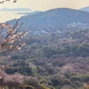 苏州旅游 缩略图 1