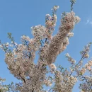 北京旅游 缩略图 8