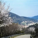 苏州旅游 缩略图 7