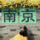 南京旅游 缩略图 6