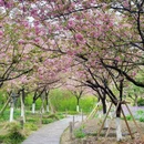 上海旅游 缩略图 2