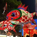 黄山旅游 缩略图 14