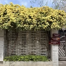 南京旅游 缩略图 12