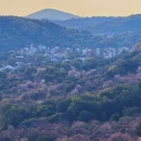 苏州旅游 缩略图 5